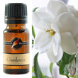 Fragrance Oil Gardenia