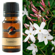 Fragrance Oil Jasmine