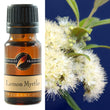 Fragrance Oil Lemon Myrtle