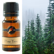 Fragrance Oil Pine Tree