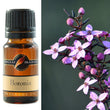 Fragrance Oil Boronia