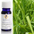 Citronella Atlas Pure Essential Oil