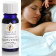 Sleep Soundly Pure Essential Oil Blend