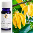 Ylang Ylang Pure Essential Oil