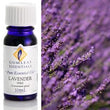 Lavender Spike Essential Oils