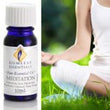 Meditation Pure Essential Oil Blend